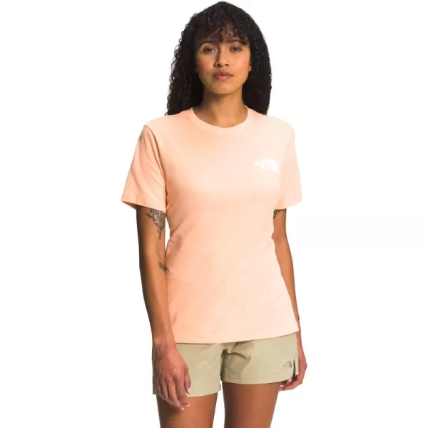 Apricot Ice