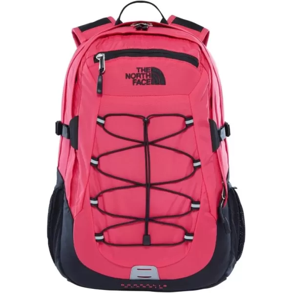 One Size Raspberry Red/Tnf Black