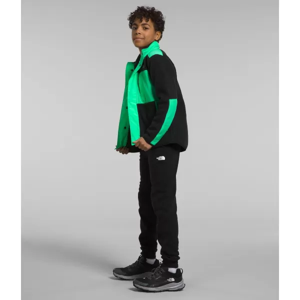 THE NORTH FACE Boys' Forrest Fleece Hybrid Jacket