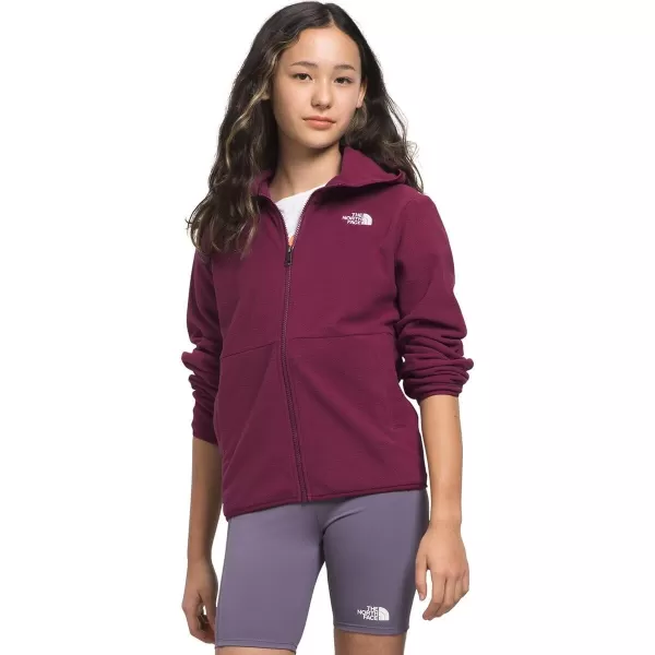 THE NORTH FACE Teen Glacier Lightweight Full Zip Hoodie Jacket