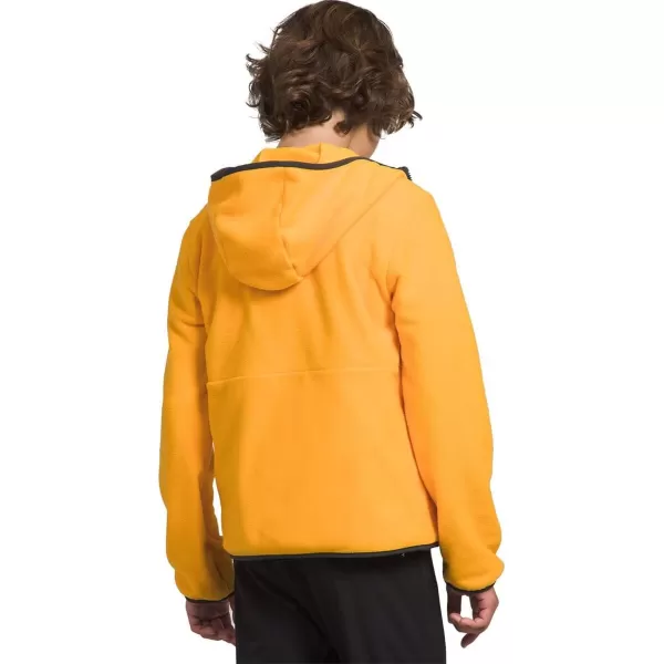 THE NORTH FACE Teen Glacier Lightweight Full Zip Hoodie Jacket