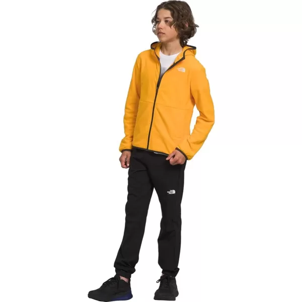 THE NORTH FACE Teen Glacier Lightweight Full Zip Hoodie Jacket
