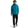 imageTHE NORTH FACE Alta Vista Jacket  MensAlkaline Blue