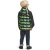 imageTHE NORTH FACE Kids Antora Rain Jacket  YouthDeep Grass Green Mountain Panorama Print