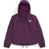 imageTHE NORTH FACE Womens Antora Rain Hoodie Standard and Plus SizeBlack Currant Purple