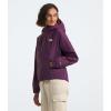 imageTHE NORTH FACE Womens Antora Rain Hoodie Standard and Plus SizeBlack Currant Purple