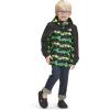imageTHE NORTH FACE Kids Antora Rain Jacket  YouthDeep Grass Green Mountain Panorama Print