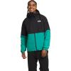 Tnf Black/Lichen Teal