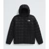 imageTHE NORTH FACE Boys Thermoball Hooded Jacket Little Big KidTnf Black