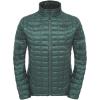 Duck Green