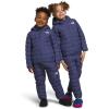 imageTHE NORTH FACE Kids Reversible Thermoball Insulated Hooded JacketCave Blue