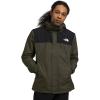 New Taupe Green/Tnf Black-npf