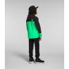 imageTHE NORTH FACE Boys Antora Waterproof Rain JacketChlorophyll Green