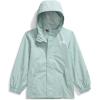 imageTHE NORTH FACE Boys Toddler Antora Rain JacketMuted Pine