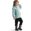 imageTHE NORTH FACE Boys Toddler Antora Rain JacketMuted Pine
