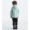 imageTHE NORTH FACE Boys Toddler Antora Rain JacketMuted Pine