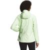 imageTHE NORTH FACE Plus Size Antora ParkaLime Cream