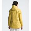 imageTHE NORTH FACE Plus Size Antora ParkaYellow Silt