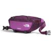 imageTHE NORTH FACE Terra Lumbar Hiking Hip Pack  3L Asphalt GreyTNF BlackNPF One SizeBlack Currant PurpleAubergineNPF