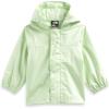 Lime Cream