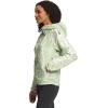 imageTHE NORTH FACE Flyweight Hoodie  WomensLime Cream Valley Floor Print
