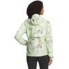 imageTHE NORTH FACE Flyweight Hoodie  WomensLime Cream Valley Floor Print