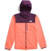 imageTHE NORTH FACE Mens Higher Run Wind JacketVivid FlameBlack Currant Purple