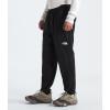 imageTHE NORTH FACE Mens Sunriser PantTnf Black