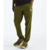 imageTHE NORTH FACE Mens Wander Jogger 20 Standard and Big SizeForest Olive