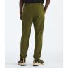 imageTHE NORTH FACE Mens Wander Jogger 20 Standard and Big SizeForest Olive