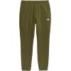 imageTHE NORTH FACE Mens Wander Jogger 20 Standard and Big SizeForest Olive