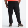 imageTHE NORTH FACE Mens Wander Jogger 20 Standard and Big SizeTnf Black