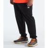 imageTHE NORTH FACE Mens Wander Jogger 20 Standard and Big SizeTnf Black