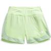 imageTHE NORTH FACE Womens Sunriser Short 4quotAstro LimeMisty Sage