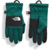 imageTHE NORTH FACE Kids Sierra Fleece Etip GlovesEvergreen