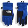 imageTHE NORTH FACE Kids Sierra Fleece Etip GlovesTnf Blue