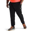 imageTHE NORTH FACE Mens Wander Jogger 20 Standard and Big SizeTnf Black