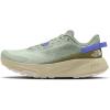 Misty Sage/Forest Olive