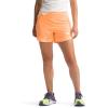 Bright Cantaloupe