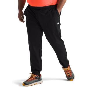 imageTHE NORTH FACE Mens Wander Jogger 20 Standard and Big SizeTnf Black
