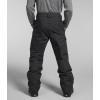 imageTHE NORTH FACE Mens Freedom Insulated Pant  PFAS FreeAsphalt Grey