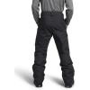 imageTHE NORTH FACE Mens Freedom Insulated Pant  PFAS FreeAsphalt Greynpf