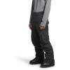 imageTHE NORTH FACE Mens Freedom Insulated Pant  PFAS FreeAsphalt Greynpf