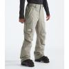 imageTHE NORTH FACE Mens Freedom Insulated Pant  PFAS FreeClay Grey