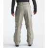 imageTHE NORTH FACE Mens Freedom Insulated Pant  PFAS FreeClay Grey