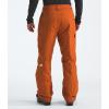 imageTHE NORTH FACE Mens Freedom Insulated Pant  PFAS FreeEarthen Copper