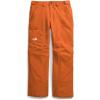 imageTHE NORTH FACE Mens Freedom Insulated Pant  PFAS FreeEarthen Copper
