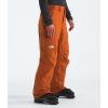 imageTHE NORTH FACE Mens Freedom Insulated Pant  PFAS FreeEarthen Copper