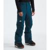 imageTHE NORTH FACE Mens Freedom Insulated Pant  PFAS FreeMidnight Petrol