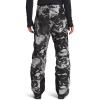 imageTHE NORTH FACE Mens Freedom Insulated Pant  PFAS FreeTnf Black Tonal Mountainscape Print